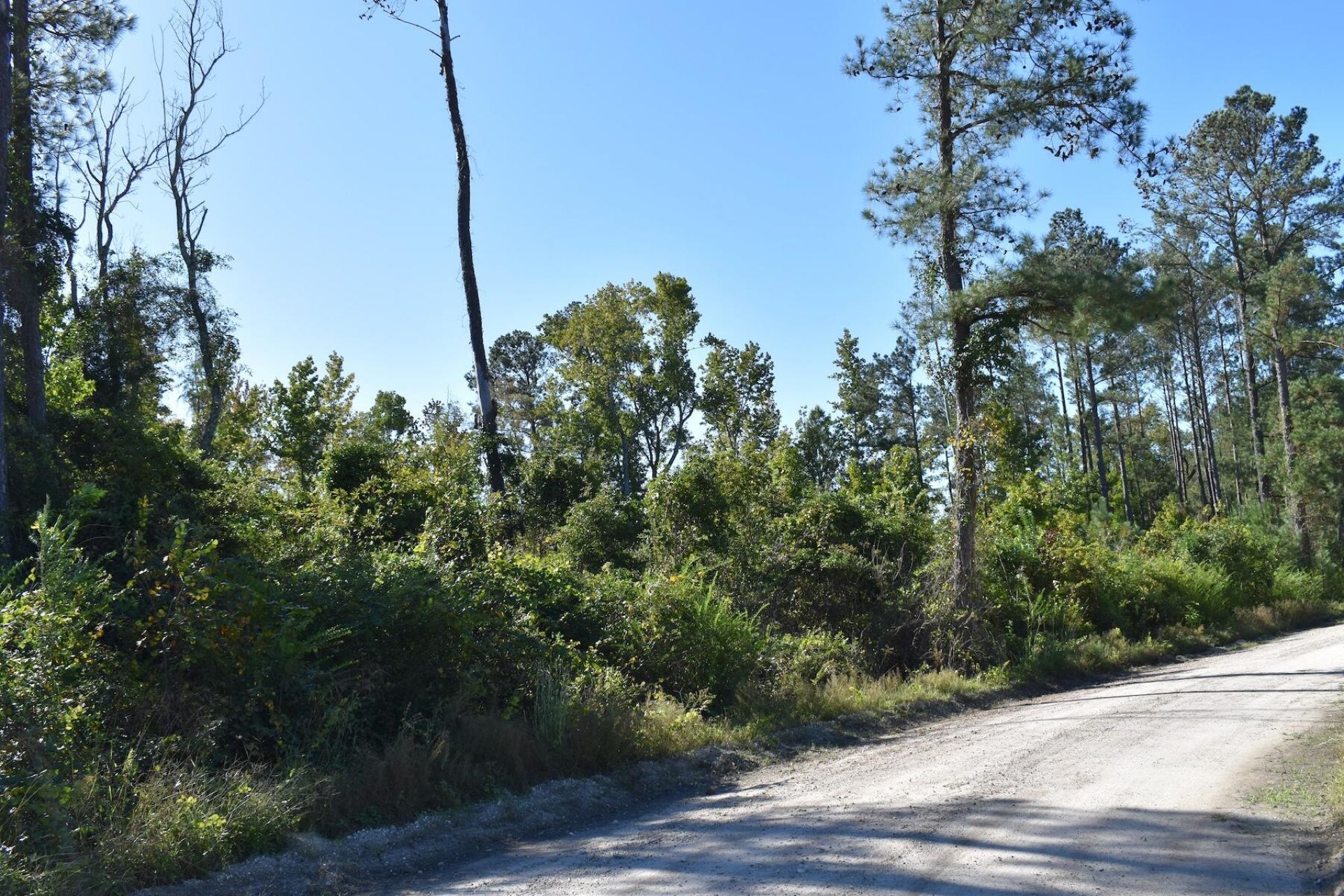 0000 Murdock Road Photo 4