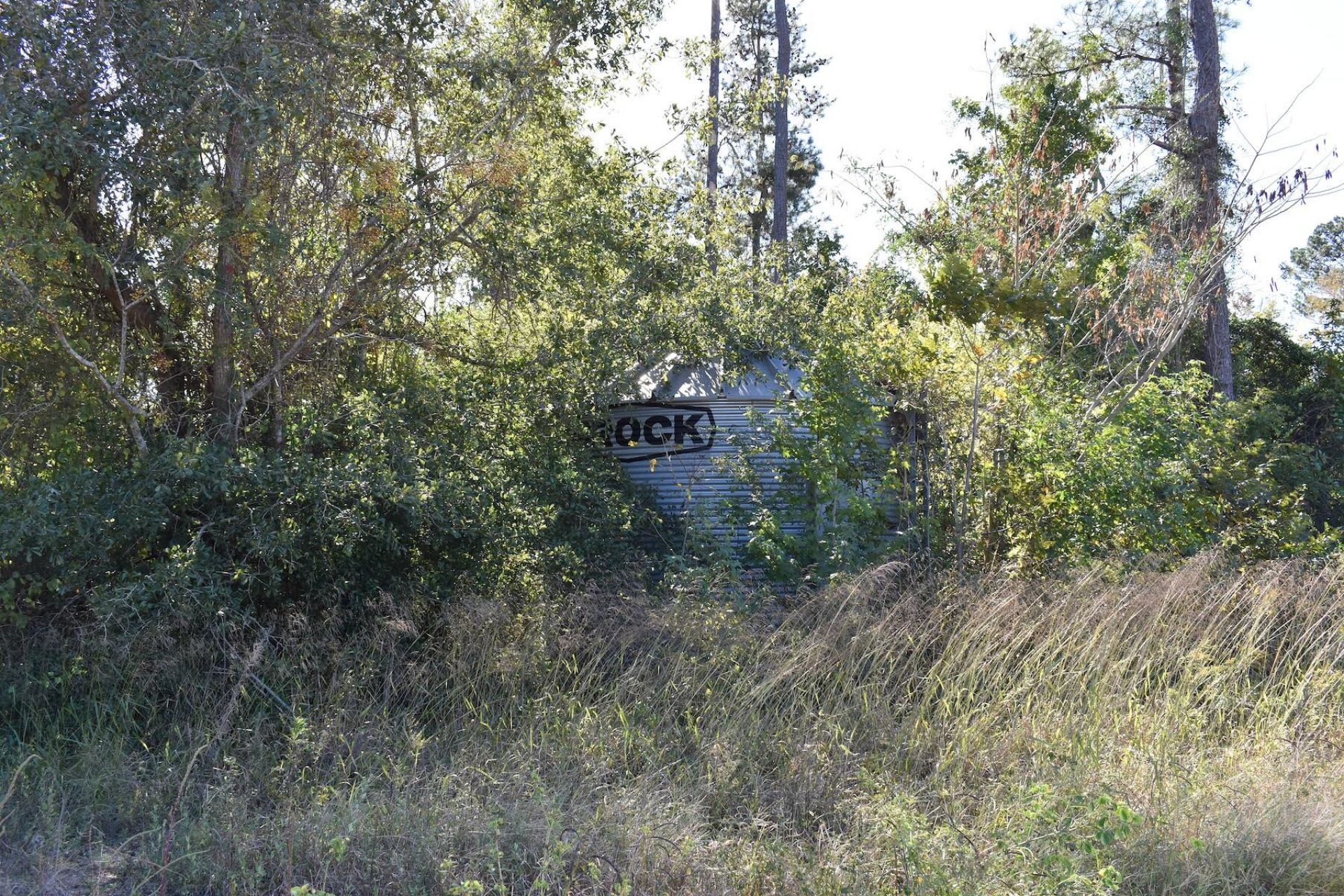 0000 Murdock Road Photo 5