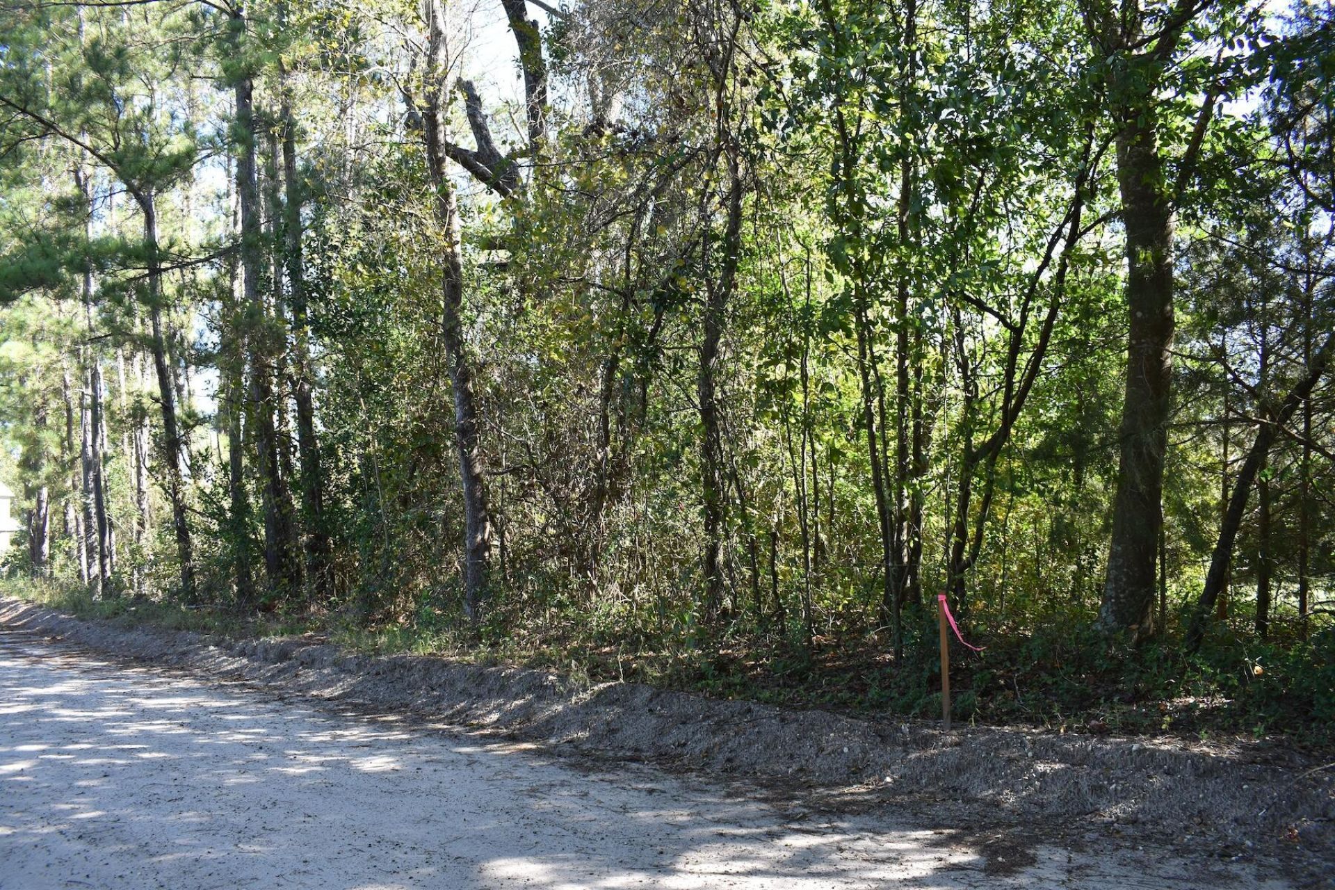 0000 Murdock Road Photo 6