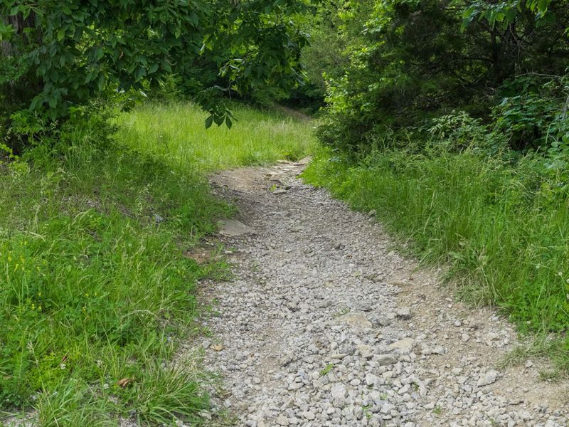 685 Mason Lane, Corinth, KY 41010 Photo 11