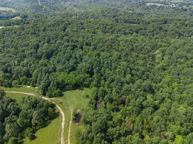 685 Mason Lane, Corinth, KY 41010 Photo 21
