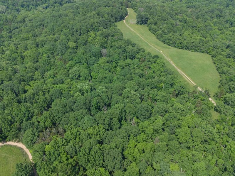685 Mason Lane, Corinth, KY 41010 Photo 24