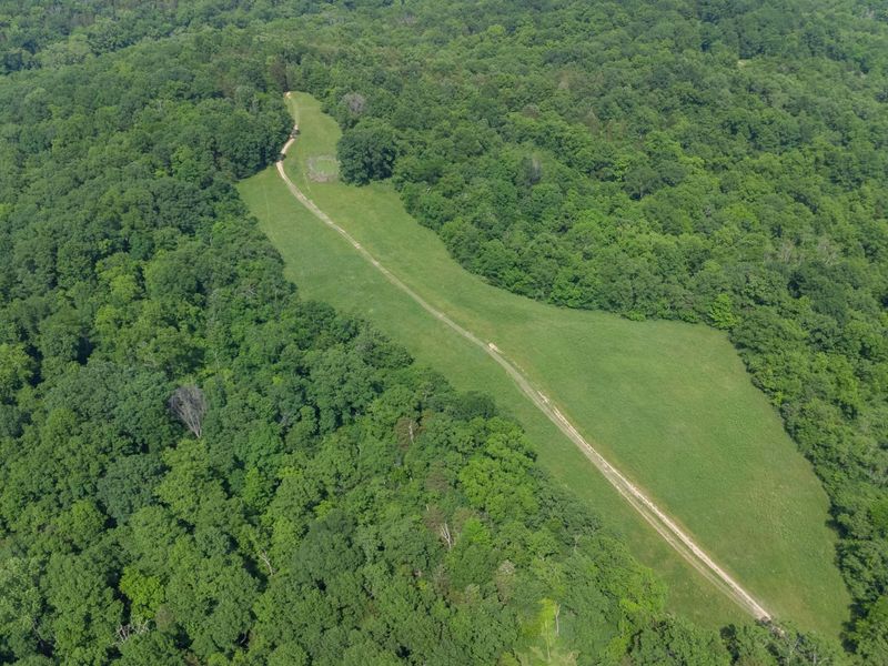 685 Mason Lane, Corinth, KY 41010 Photo 25