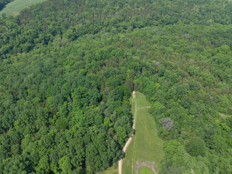 685 Mason Lane, Corinth, KY 41010 Photo 26