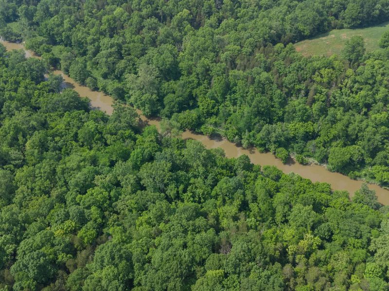 685 Mason Lane, Corinth, KY 41010 Photo 28