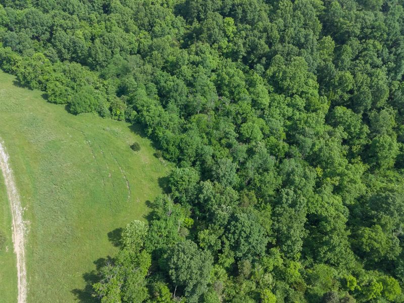 685 Mason Lane, Corinth, KY 41010 Photo 37