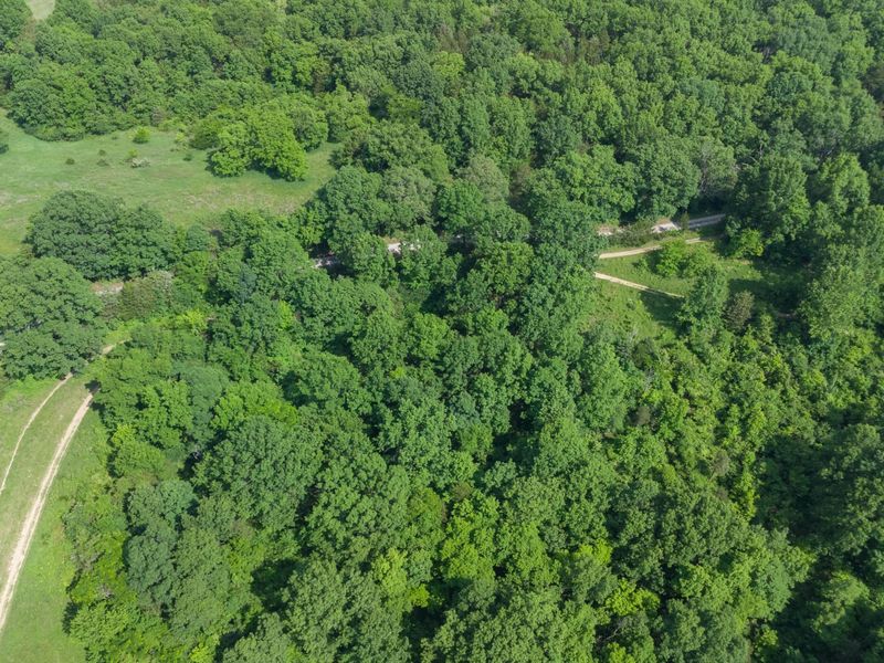 685 Mason Lane, Corinth, KY 41010 Photo 39