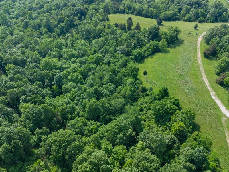 685 Mason Lane, Corinth, KY 41010 Photo 41