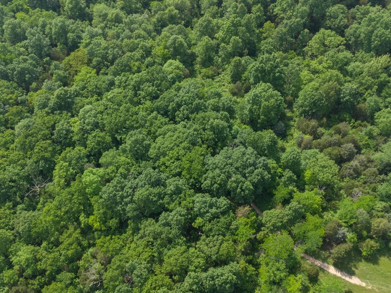 685 Mason Lane, Corinth, KY 41010 Photo 42