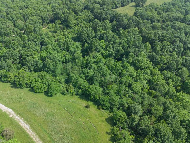 685 Mason Lane, Corinth, KY 41010 Photo 44