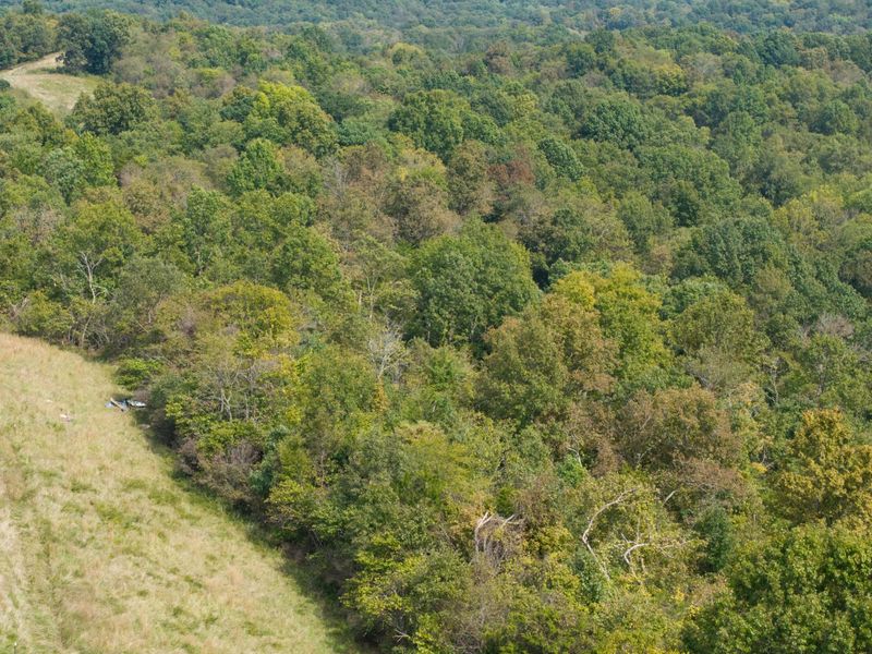 685 Mason Lane, Corinth, KY 41010 Photo 47