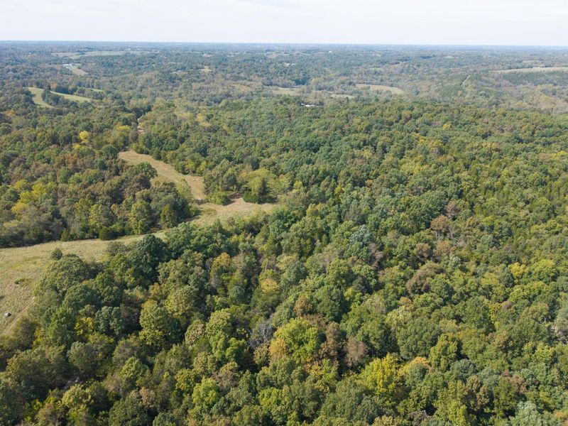 685 Mason Lane, Corinth, KY 41010 Photo 49