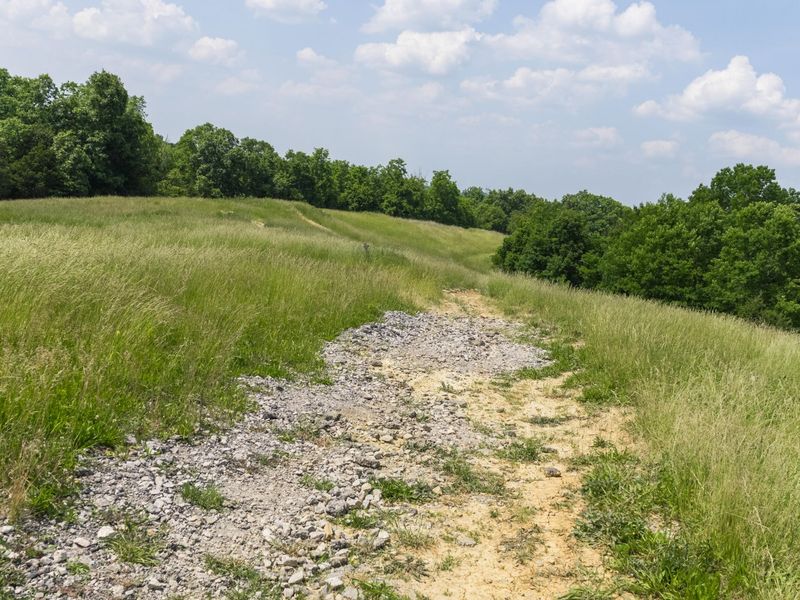 685 Mason Lane, Corinth, KY 41010 Photo 7