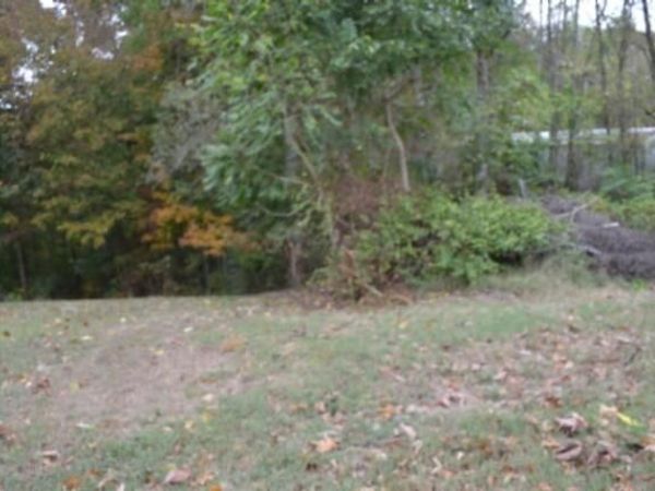 0.75ac Cummins Ct, Celina, TN 38551