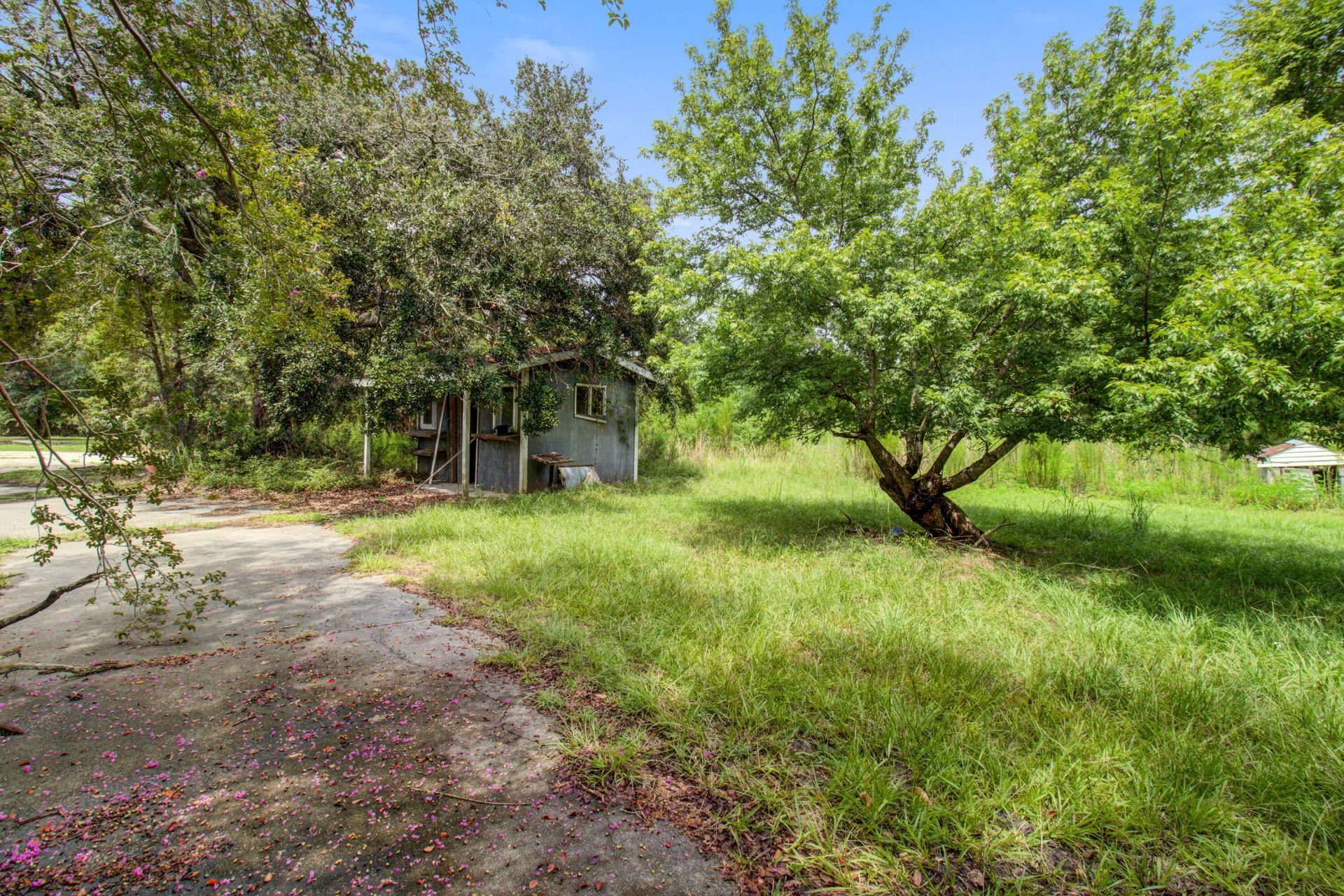 2042 Sniders Highway Photo 21