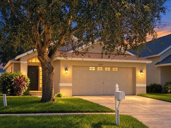 32215 FISH HOOK LOOP, WESLEY CHAPEL, FL 33545