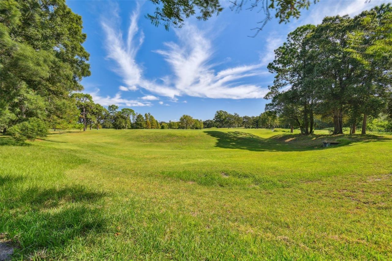 2991 Heather Trail , Clearwater, FL 33761 Photo