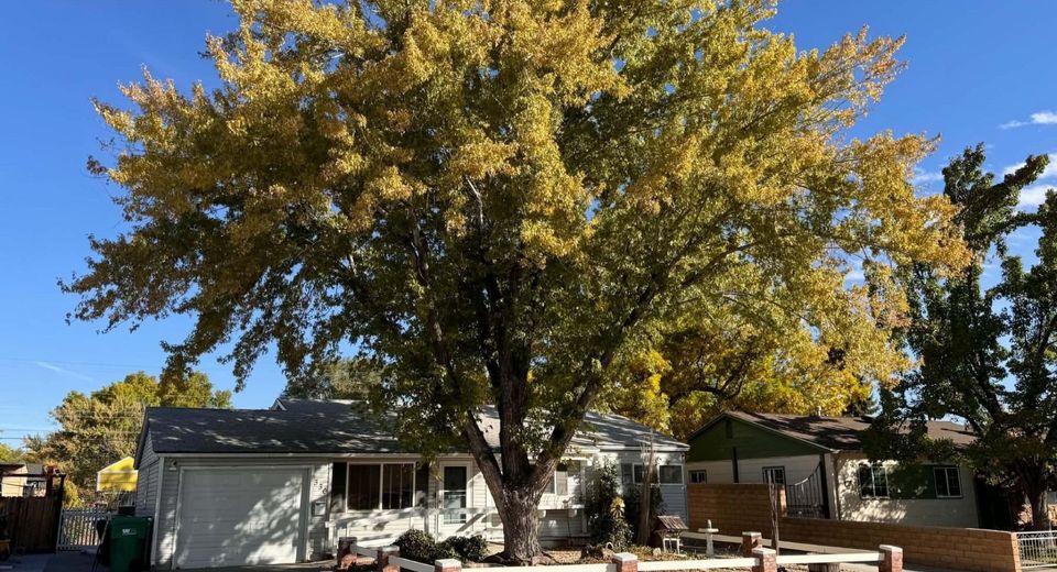 330 Richards Way, Sparks, NV 89431 Photo