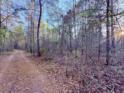 430 Weenee Road, Jamestown, SC 29453