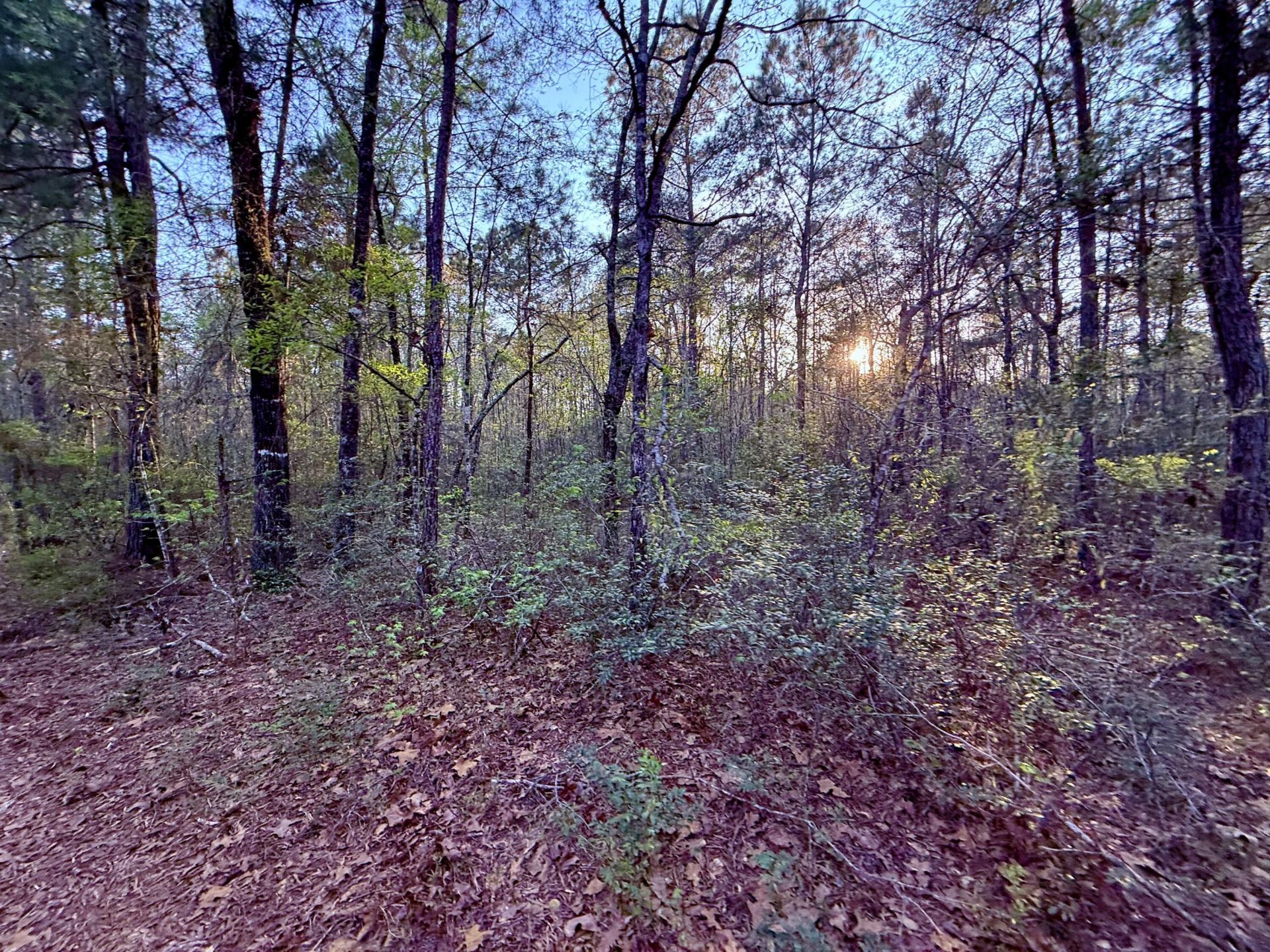 430 Weenee Road Photo 4