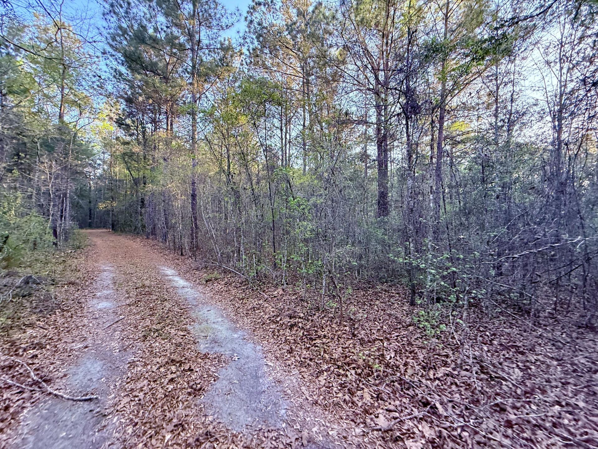 430 Weenee Road Photo 7