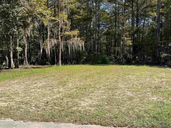 102 E Cajun St, Pierre Part, LA 70339