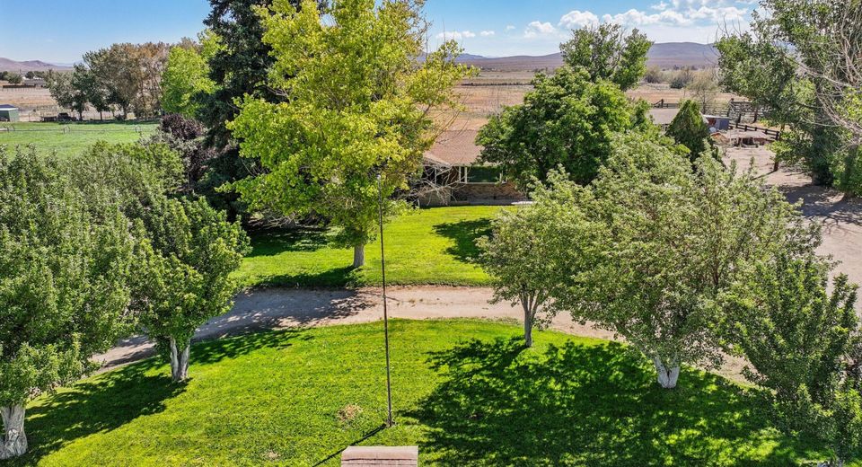 154 Hudson Aurora Road, Smith Valley, NV 89430 Photo