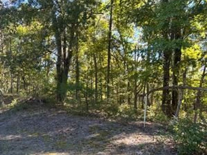 Wetipquin Road, Quantico, MD 21856 Main Photo
