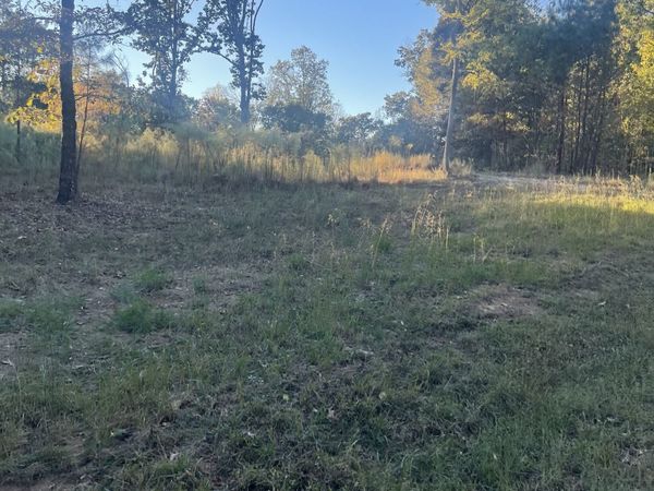 883 Pineview Rd , Lexington, TN 38351