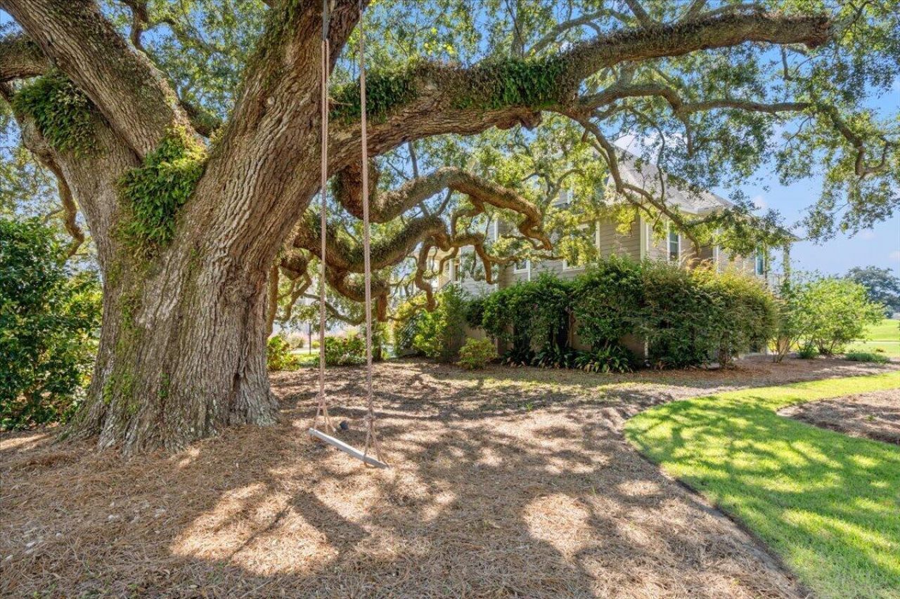 4461 Hope Plantation Drive Photo 8