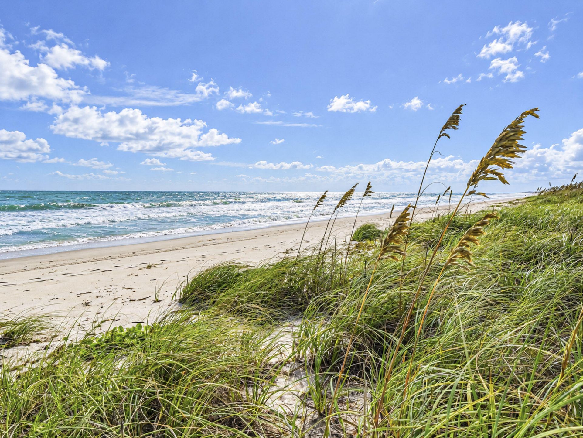 3100 N Highway A1a, Unit 804, Fort Pierce, FL 34949 Photo