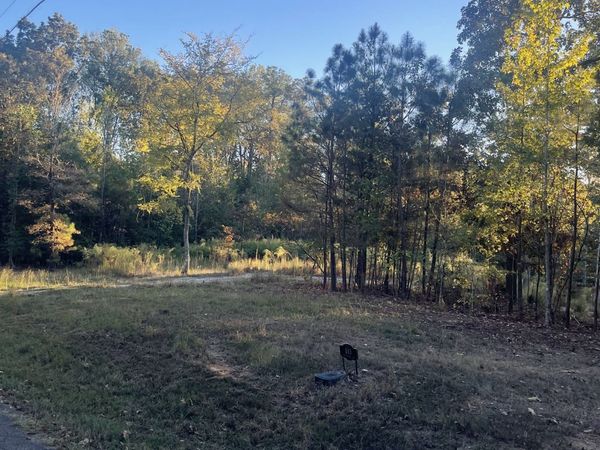 0 Pineview Road , Lexington, TN 38351