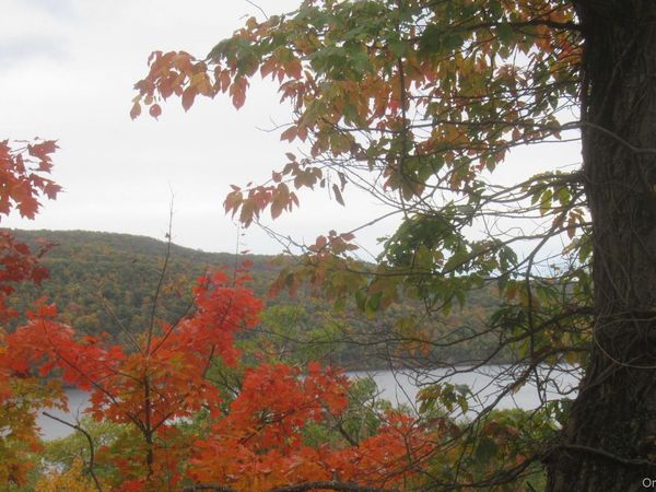 70 Deer Trail N, Greenwood Lake, NY 10925