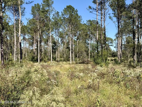 Rutland Road, Jayess, MS 39641