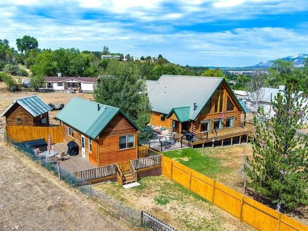 531 Oakbrush Circle, Collbran, CO 81624