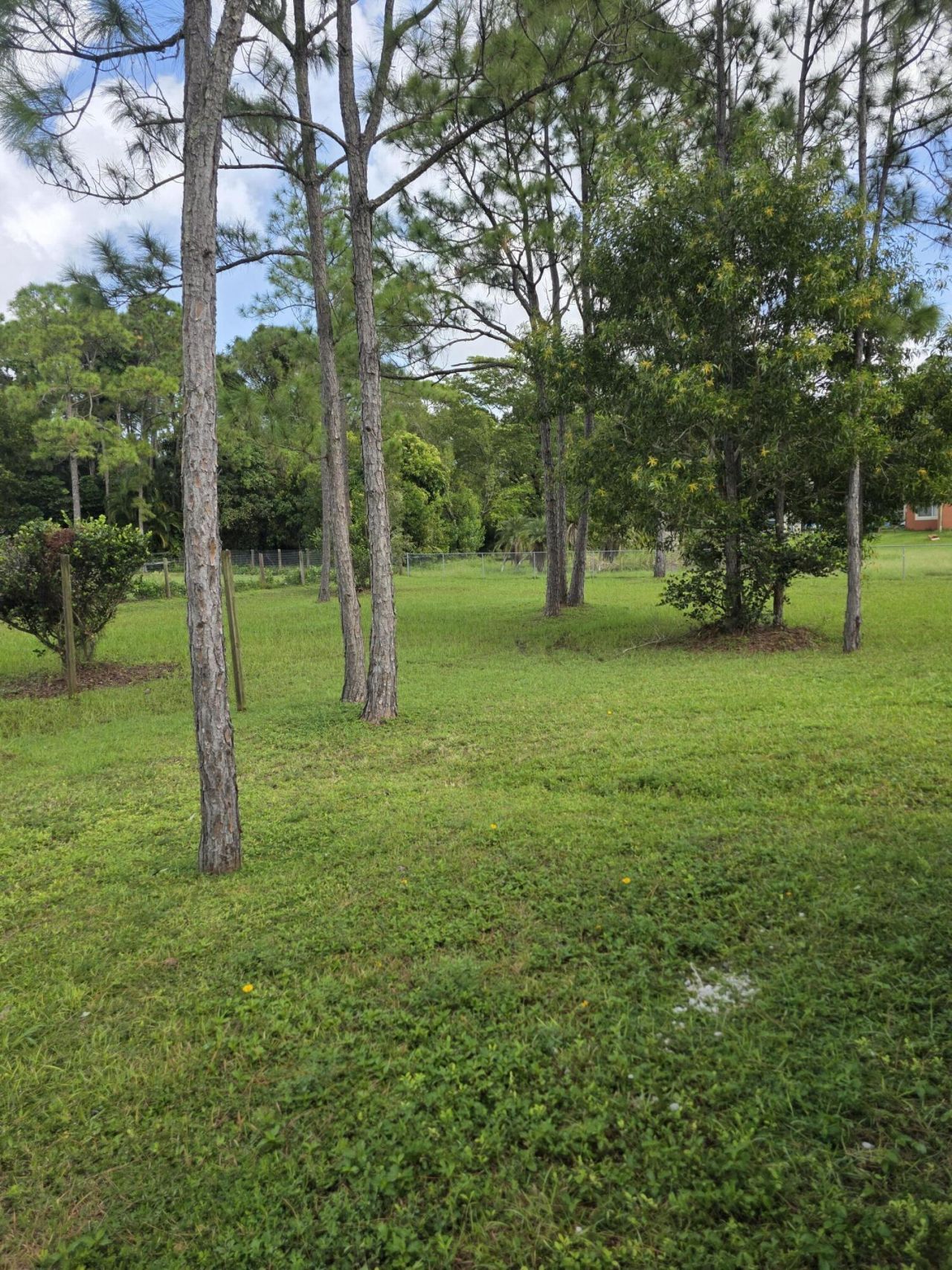 12947 63rd Lane N, The Acreage, FL 33412 Photo