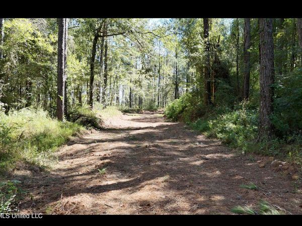 Gunnell Road, Ruth, MS 39662