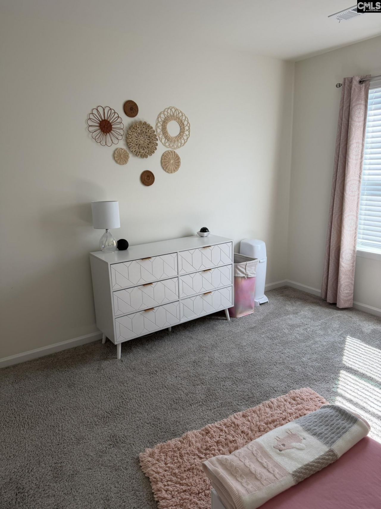 1218 White Chicory Court Photo 14
