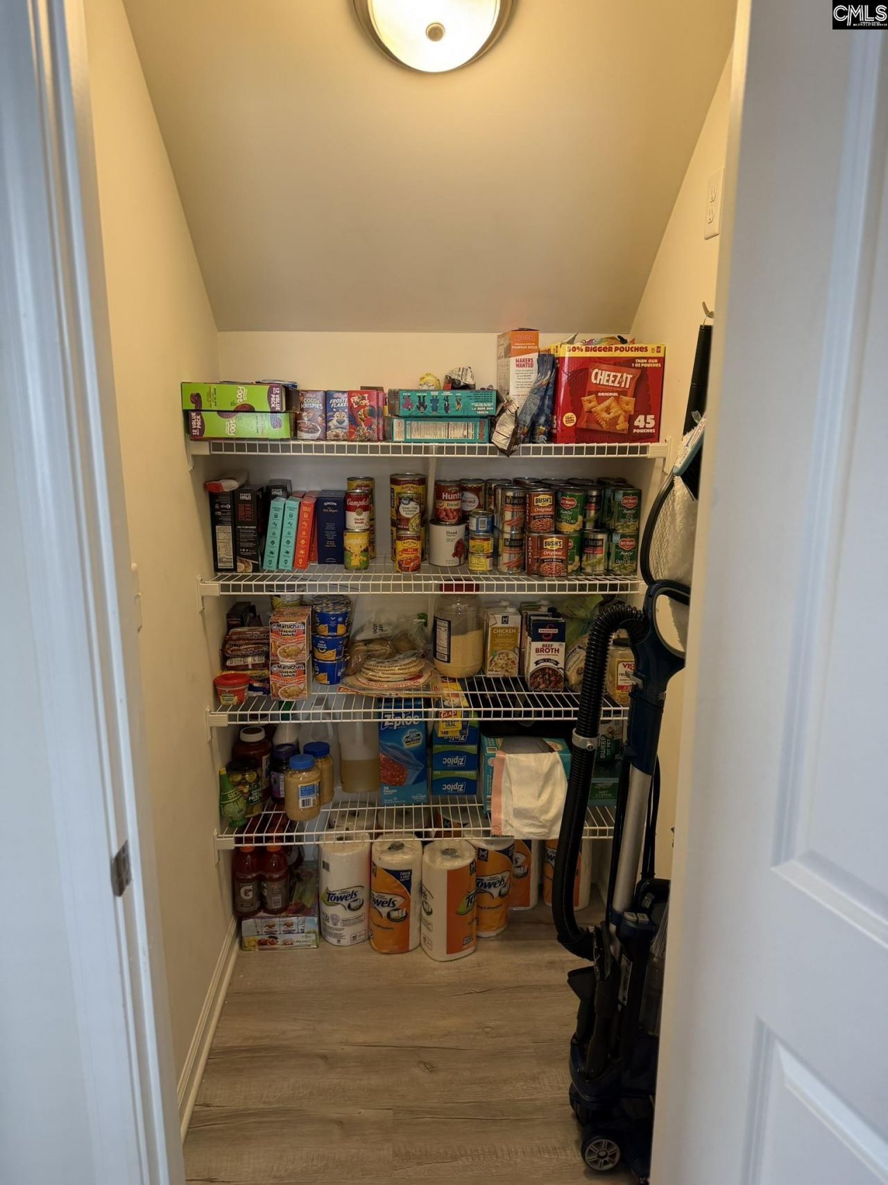 1218 White Chicory Court Photo 6