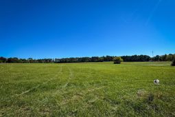 7518 Two Notch Road  photo 4