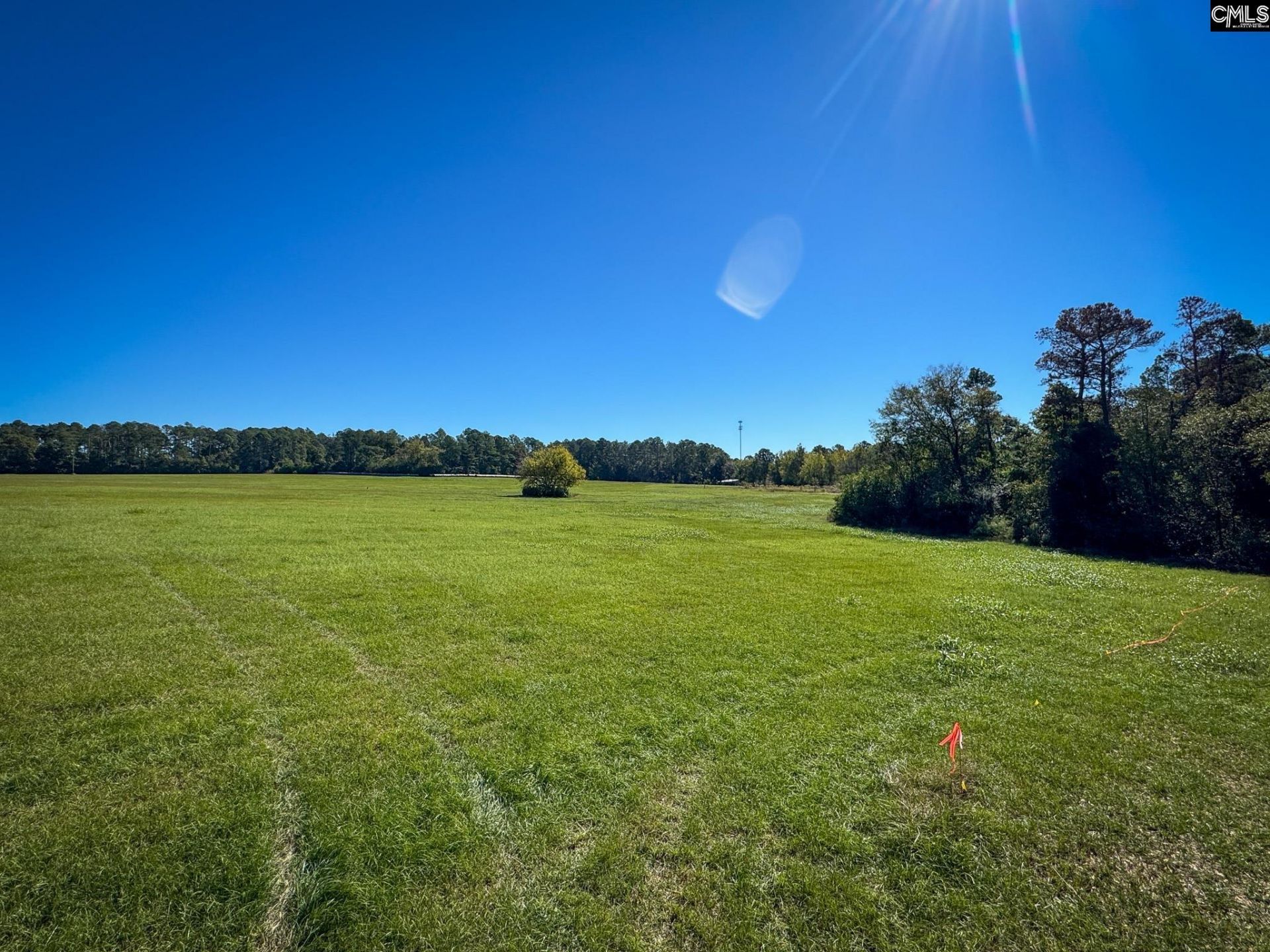 7518 Two Notch Road  Photo 4