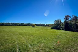 7518 Two Notch Road  photo 4