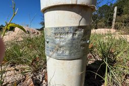 7518 Two Notch Road  photo 4