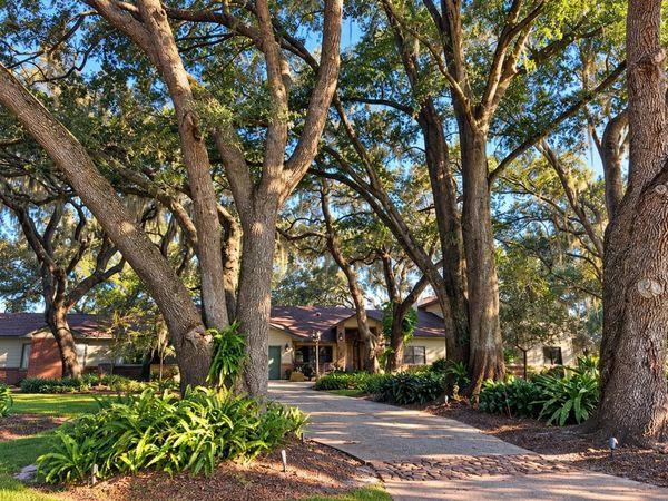 15211 VINOLA PLACE , MONTVERDE, FL 34756