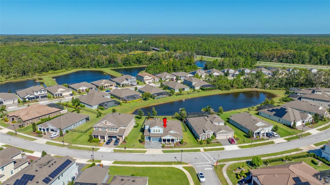4161 Glade Wood Loop, New Port Richey, FL 34655 Photo