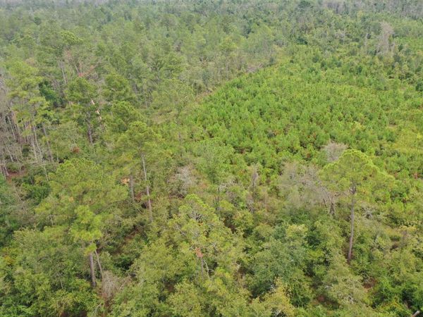 NW 51ST CT, Jennings, FL 32053