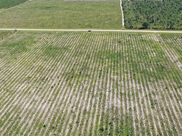 PEBBLE RIDGE, Lee, FL 32059