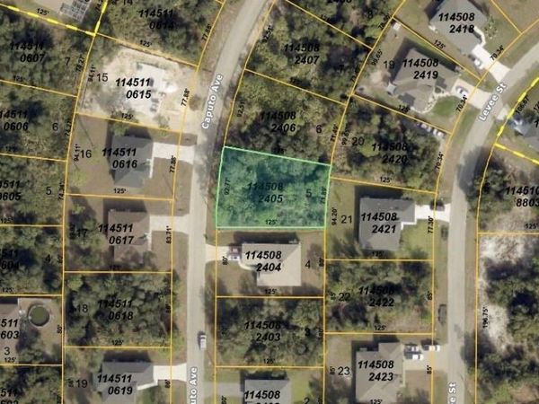 CAPUTO AVENUE , NORTH PORT, FL 34288