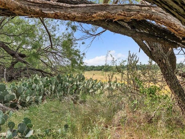14175 S Highway 6, Moran, TX 76464