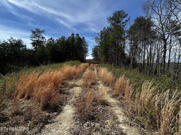 Tract 2 SW Owl Hollow , McDonald, TN 37353